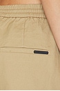 view 6 of 6 PANTALON PLEAT FRONT DRAWSTRING  in Dune