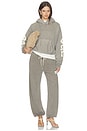 view 5 of 6 PANTALON SWEAT CLASSIC FLEECE  in Washed Seal