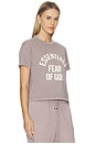 view 2 of 5 CAMISETA CAMPUS in Faded Mauve
