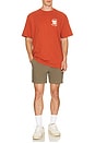 view 3 of 4 Bear Graphic Tee in Chili Oil