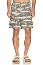 view 1 of 5 Oxbow Lake Trunks in Beluga & Bold Fish Print