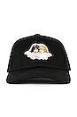view 3 of 3 Icon Angeles Cap in Black