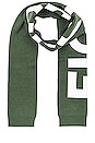 view 2 of 4 ÉCHARPE BOLD in Green