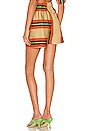 view 4 of 5 Motel Stripe Shorts in Multi