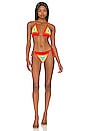 view 1 of 3 Desert Oasis Bikini Set in Multi