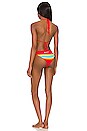 view 3 of 3 Desert Oasis Bikini Set in Multi