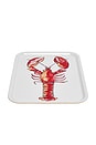 view 2 of 3 Shelly Lobster Tray in 