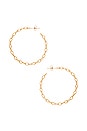 view 1 of 2 Alicia Hoops in Gold