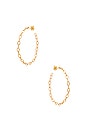 view 2 of 2 Alicia Hoops in Gold