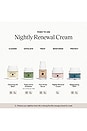 view 6 of 9 Fior Di Luna Nightly Renewal Cream 50ml in 