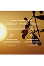 view 7 of 9 Perla Brillante Daily Renewal Cream 50ml in 