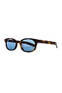 view 2 of 3 LE BUCHERON 선글라스 in Tortoise & Solid Blue Lens