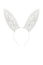 view 1 of 1 Lace Bunny Ears in Ivory