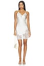 view 1 of 5 Juliet Lace Mini Slip in Ivory