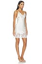view 2 of 5 Juliet Lace Mini Slip in Ivory