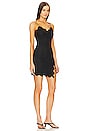 view 2 of 4 Mesh And Lace Mini Dress in Black