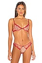 view 1 of 5 Dotty Demi Bra in Pop Cherry
