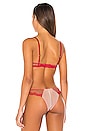 view 3 of 5 Dotty Demi Bra in Pop Cherry