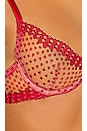 view 5 of 5 Dotty Demi Bra in Pop Cherry