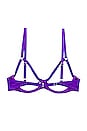 view 2 of 2 Luxe Strappy Bondage Underwire Bra in Pansy