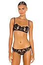 view 1 of 4 Violet Lace Balconette Bra in Black