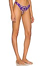 view 2 of 4 Lily Embroidery Hipster Thong in Pansy