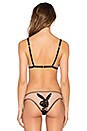 view 3 of 4 x PLAYBOY Lace Bunny Bra in Black