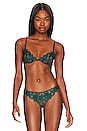 view 1 of 4 Lily Embroidery Plunge Demi Bra in Evergreen