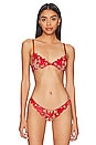 view 1 of 4 Velvet Lily Embroidery Demi Bra in Rouge