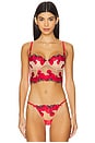 view 1 of 4 SOUTIEN-GORGE BORD DENTELLE LARGE TOMATO EMBROIDERY in Sauce