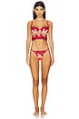 view 4 of 4 SOUTIEN-GORGE BORD DENTELLE LARGE TOMATO EMBROIDERY in Sauce