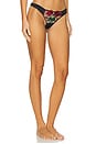 view 2 of 4 Bleeding Rose Embroidery Thong in Black