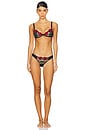 view 4 of 4 Bleeding Rose Embroidery Thong in Black