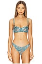 view 1 of 4 Velvet Lily Embrodiery Balconette Bra in Icy Teal