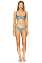 view 4 of 4 Velvet Lily Embrodiery Balconette Bra in Icy Teal