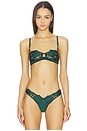 view 1 of 4 Rose Logo Embroidery Balconette Bra in Evergreen