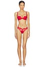 view 4 of 4 Frankie Lace Thong in Rouge