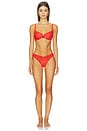 view 4 of 4 SOUTIEN-GORGE BALCONET BIANCA LACE in Neon Coral