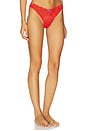view 2 of 4 TANGA BIANCA LACE in Neon Coral