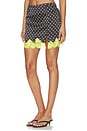 view 3 of 6 Juliet Lace Dotted Slip Skirt in Small Black Dot & Lemon Lace