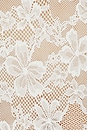 view 6 of 6 BODY LE STRETCH LACE in Ivory