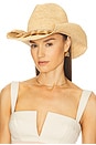 view 1 of 4 Mavi Lux Hat in Natural & Silver