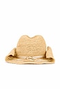 view 3 of 4 Kelli Cowboy Hat in Natural & Silver
