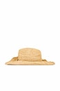 view 4 of 4 Kelli Cowboy Hat in Natural & Silver