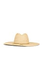 view 3 of 4 Scottie Fedora Hat in Natural & Gold