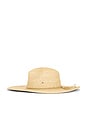 view 4 of 4 Scottie Fedora Hat in Natural & Gold