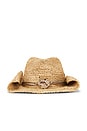 view 1 of 2 Kelli Cowboy Hat in Natural & Gold