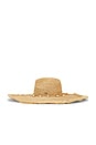 view 4 of 4 Beverly Crochet Raffia Sunhat in Natural
