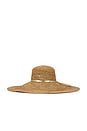 view 4 of 4 CHAPEAU FEDORA MARIE in Cement & Gold