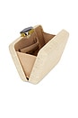 view 4 of 4 Zannone Clutch in Natural & Silver